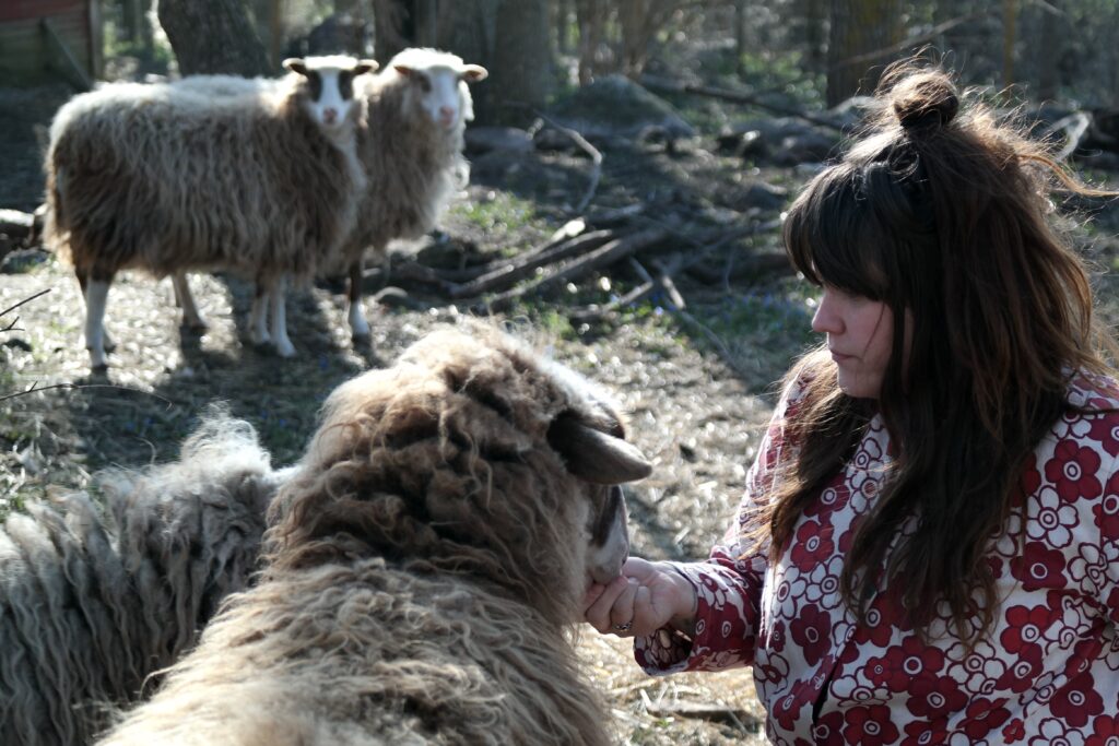 ulltäcken från gotland